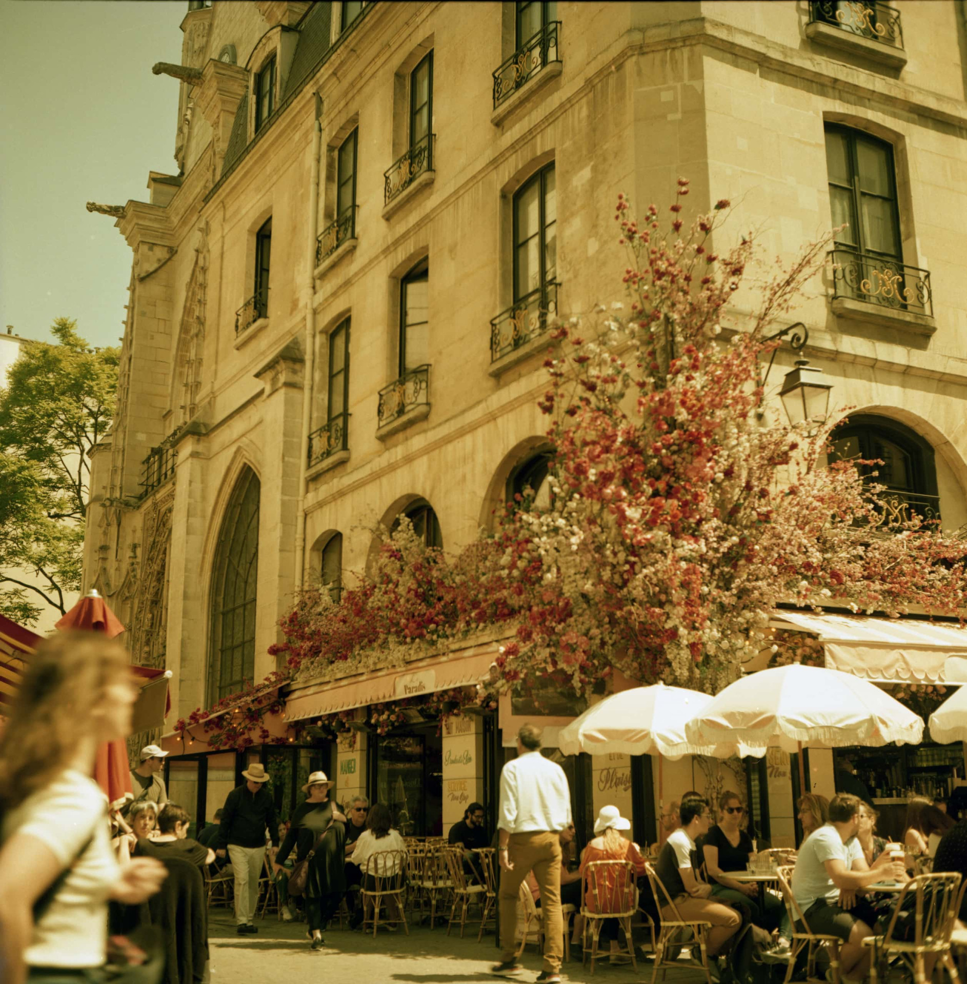 hotel pas de calais paris ete 08